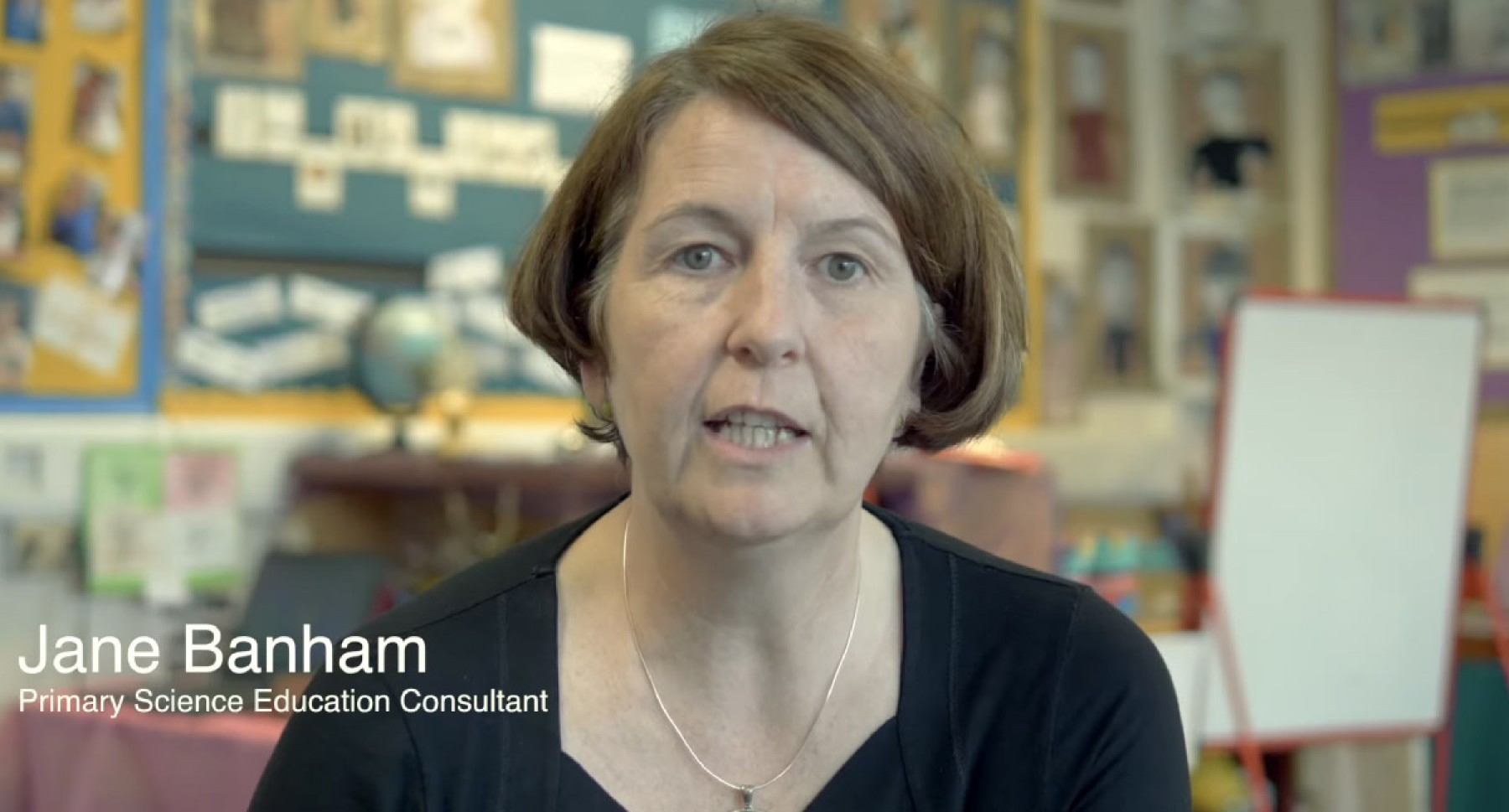 Data Harvest Vu Pro Primary Data Logger